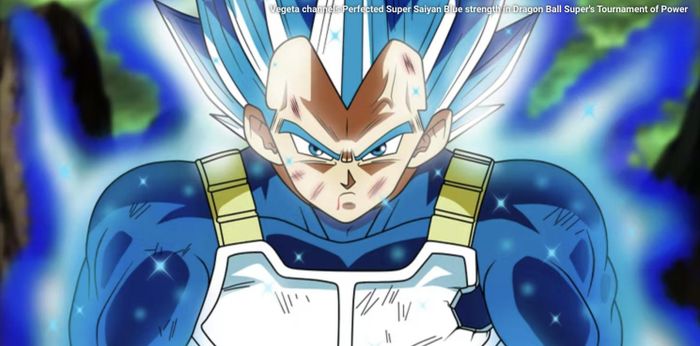  Perfected Super Saiyan Blue là trạng thái tiếp theo được phát triển trên mốc sức mạnh của Super Saiyan Blue. Đây là bài học về khả năng kiểm soát và quản lý sức mạnh. Khi đạt được mốc này, Vegeta có thể duy trì việc biến thân mà không tiêu hao quá nhiều năng lượng. 