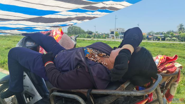 Một giấc ngả lưng ngon lành sau khi đã phơi xong mẻ moi.