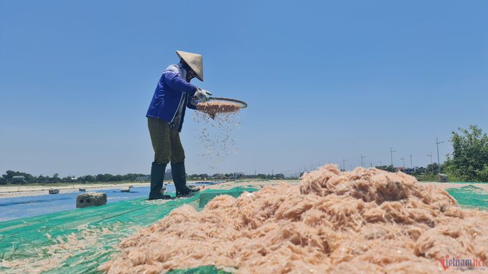 Những đống moi tươi rói 