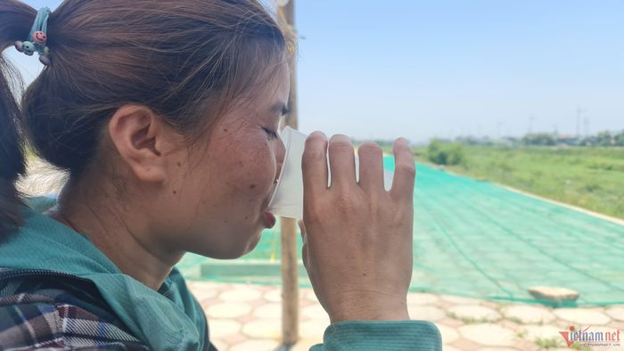 Tranh thủ uống cốc nước giải nhiệt