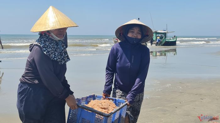 Moi đang được đưa lên bờ để đi phơi