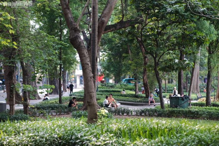 Du khách dù ngồi dưới bóng mát để tránh nóng.