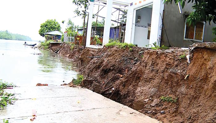 3 căn nhà dân ở hiện trường vụ sạt lở tại cù lao Lục Sĩ Thành trước nguy cơ đổ sụp xuống sông. 