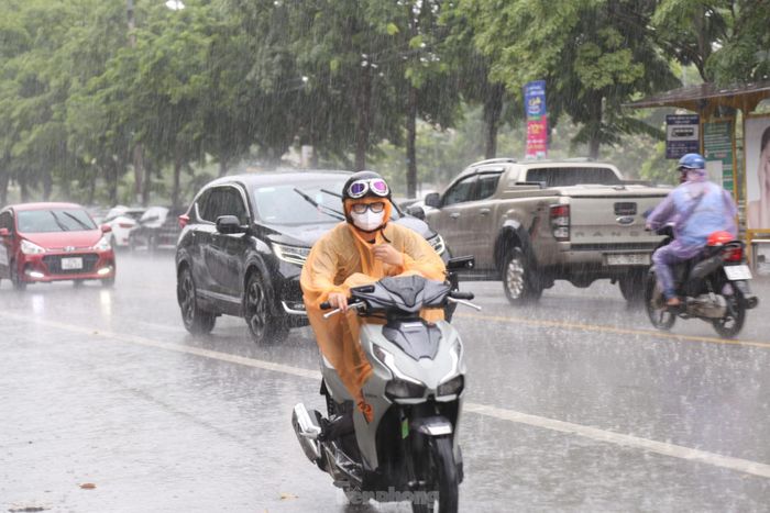 Cơn mưa góp phần giải tỏa áp lực đối với công tác chống hạn cây trồng, giải quyết vấn nạn cháy rừng và ổn định sinh hoạt cho người dân.
