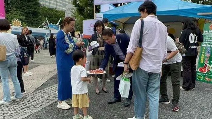 Vải thiều sớm mùa vụ 2023 “ra mắt” Lễ hội Việt Nam tại Nhật Bản – Ảnh: Báo Bắc Giang