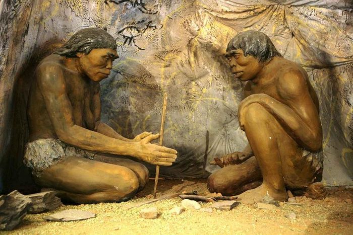Sau khi thực hiện các kiểm tra, các chuyên gia nhận định viên đá mà Elise tìm thấy thực chất là một con dao găm được tạo ra cách đây khoảng 3.700 năm.