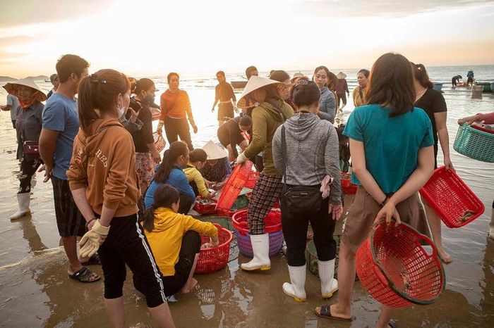 Ngư dân Đồng Văn Bình (xã Cảnh Dương) cho biết, dịp này thời tiết thuận lợi, hải sản khá dồi dào, tàu thuyền ra khơi trúng lớn, kinh tế gia đình anh cũng trở nên khấm khá hơn.