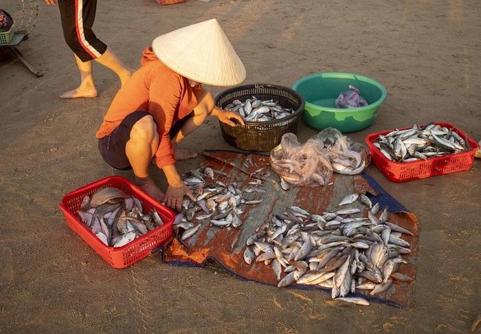 Hải sản ở chợ Cảnh Dương đa dạng, hầu như loại nào cũng có, từ cá chim, cá đối, cá cơm, cá ngừ, cá hố, cá nục cho tới các loại tôm, cua, mực, ngao, sò…