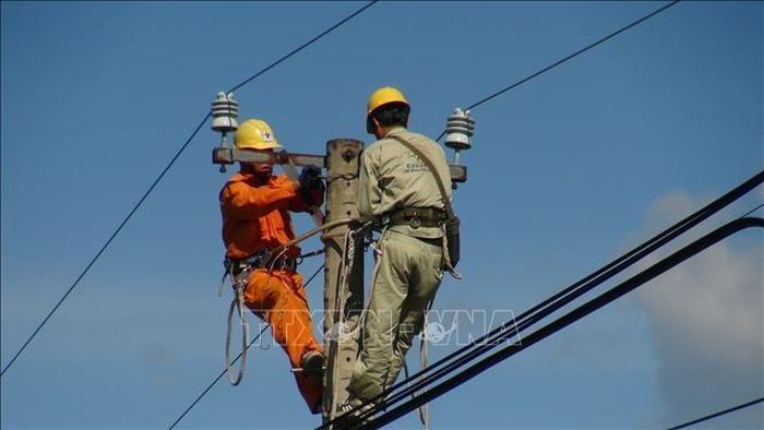 Điện lực Khánh Hòa Thay thế dây trung thế. Ảnh: Phan Sáu-TTXVN