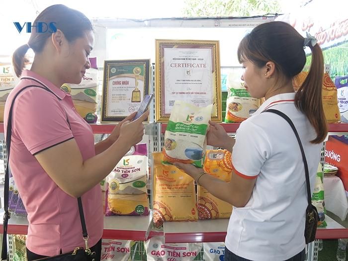 Lúa nếp hạt cau liên kết với doanh nghiệp được tiêu thụ mạnh trên thị trường.