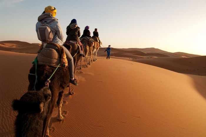 Cư dân ở Sahara gồm 2 bộ lạc chính là người Bedouin và người Tuareg. Người Bedouin là một bộ tộc gốc Ả Rập vẫn nói ngôn ngữ có nguồn gốc từ bán đảo Ả Rập. Trong khi người Tuareg là dân du mục nói ngôn ngữ Berber. 