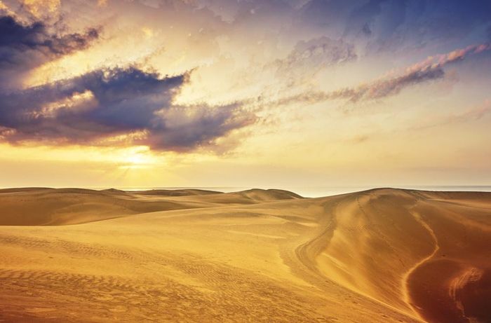  Sahara là sa mạc nóng nhất thế giới. Nhiệt độ ban ngày ở đây có thể lên tới 50 độ C và ban đêm có thể giảm xuống 0 độ C. 