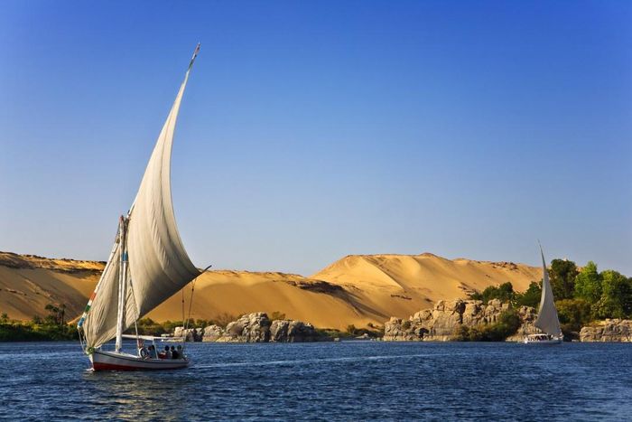  Con sông chính trong sa mạc Sahara là sông Nile. Đây là dòng sông dài thứ hai trên toàn thế giới, bắt nguồn ở quốc gia Đông Phi Rwanda và chảy ra biển Địa Trung Hải. 