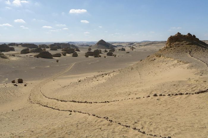  Ở sa mạc Sahara của Ai Cập có một nơi gọi là Wadi Hitan, có nghĩa là "Thung lũng cá voi". Cái tên này xuất hiện sau khi các nhà khảo cổ tìm thấy xác của hàng nghìn con cá voi trong khu vực. Ngoài ra, nhiều hóa thạch khủng long cũng đã được tìm thấy ở Sahara. 