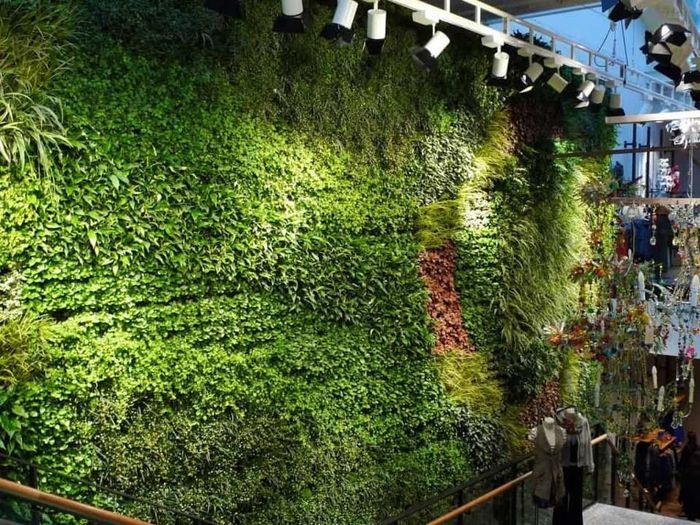 Tường cây trong một nhà hàng