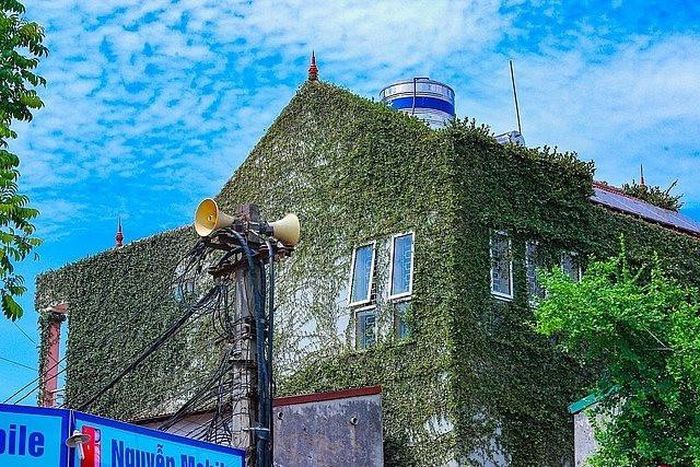 Ngôi nhà được ngụy trang bằng dây leo