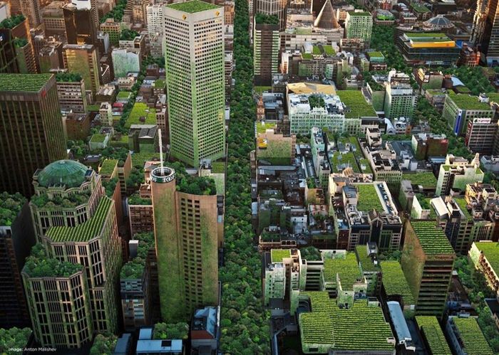 Basel là thành phố đầu tiên trên thế giới phủ xanh toàn bộ các nhà cao tầng để thích ứng với biến đổi khí hậu.