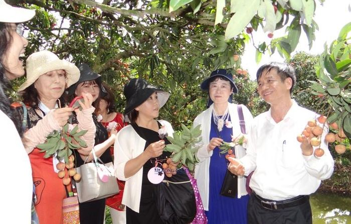 Giám đốc Sở Công Thương tỉnh Hải Dương giới thiệu vải thiều Thanh Hà cho các doanh nghiệp đến thăm vùng sản xuất tại huyện Thanh Hà.