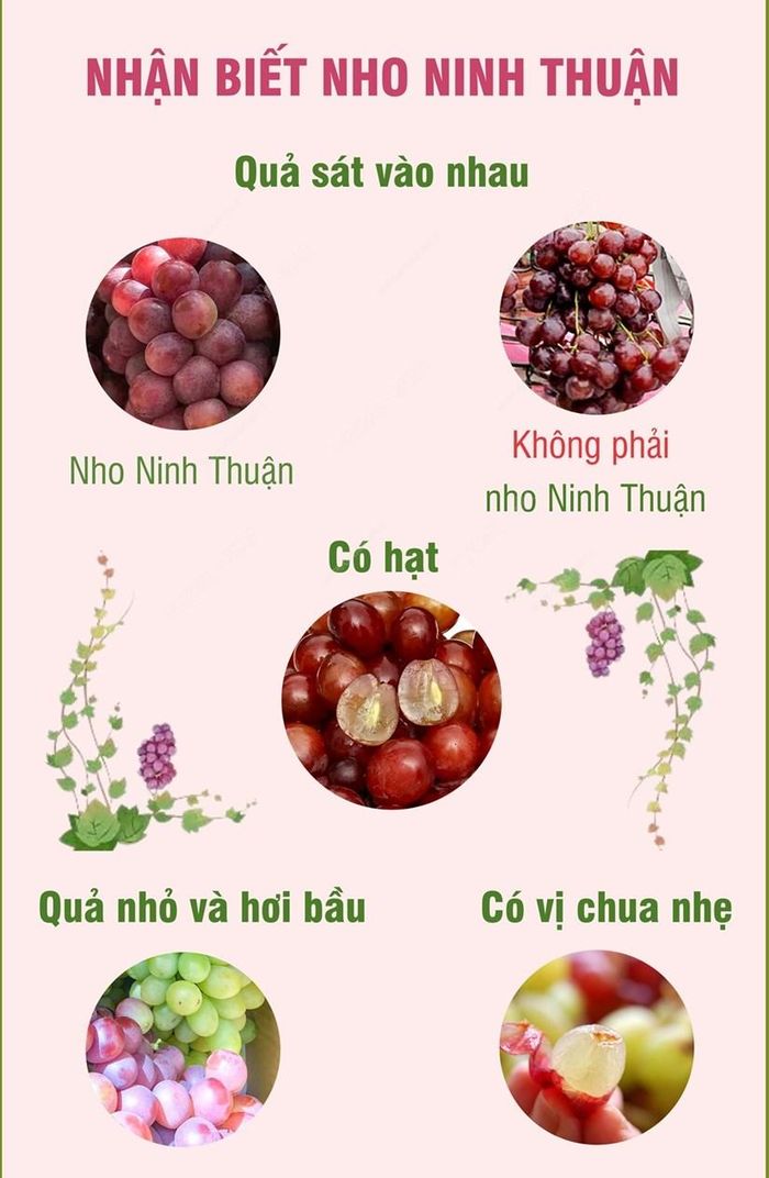 Nhấp chuột để xem kích thước chuẩn