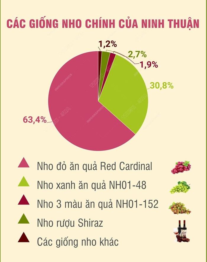 Nhấp chuột để xem kích thước chuẩn