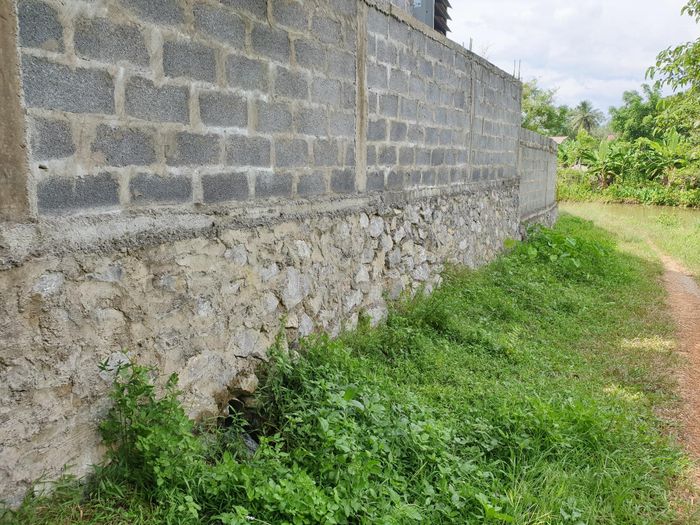 Chính quyền cho biết sẽ phối hợp cùng đơn vị chức năng để kiểm tra, xử lý vấn đề này.