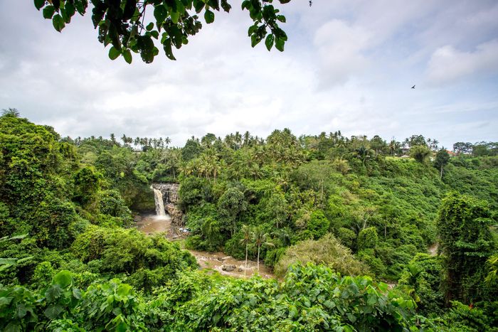  Thác nước Tegenungan ở Bali. Ảnh: Pinterest. 