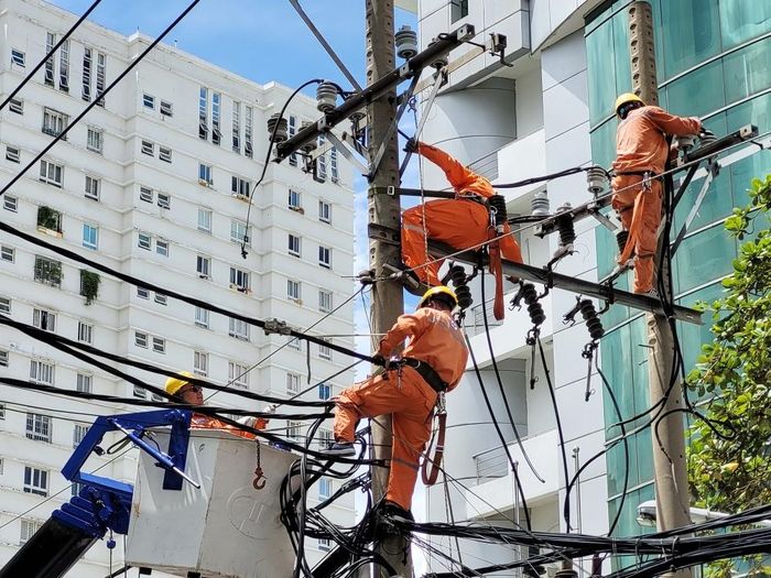 Công nhân điện lực đang kiểm tra đường điện.