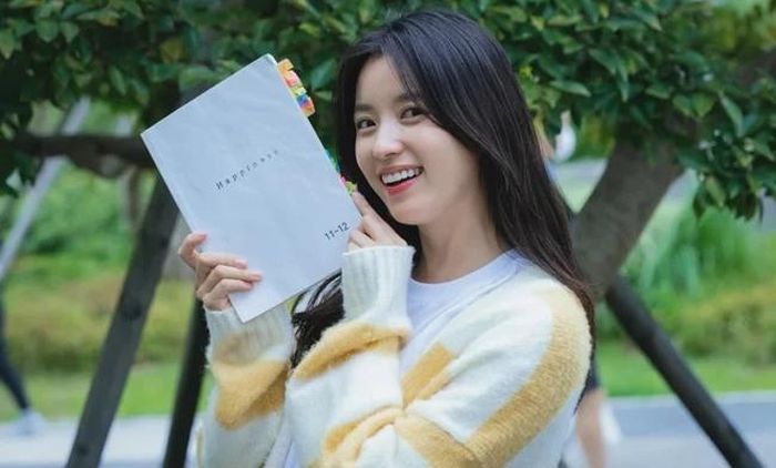 Hiện Han Hyo Joo bị công chúng mỉa mai là "người đẹp trốn thuế"