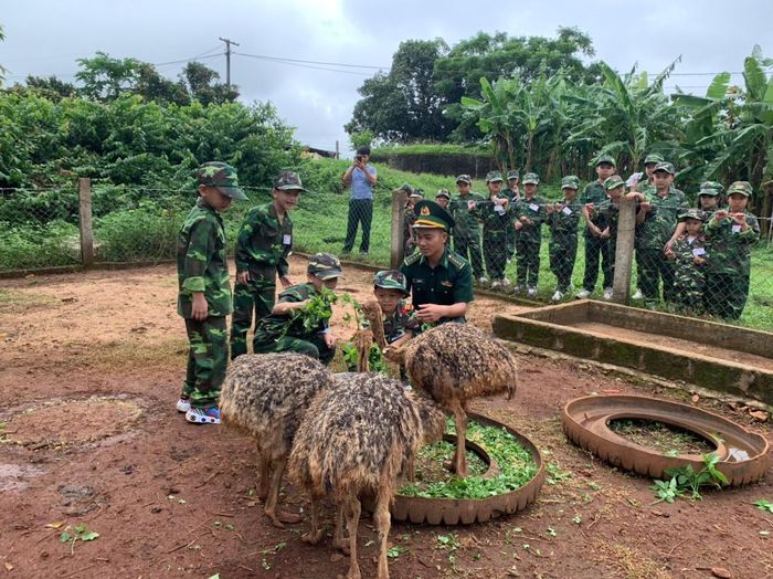 Tham quan mô hình chăn nuôi đà điểu