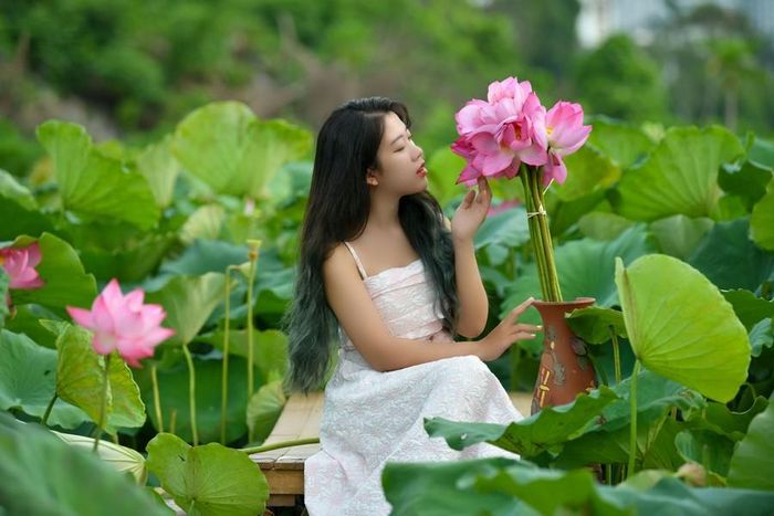 Loài quốc hoa này được ví như vẻ đẹp của người phụ nữ Việt, nhẹ nhàng, thanh khiết.