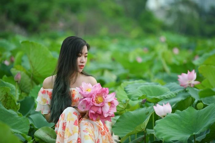 Đầm sen nở đã thu hút được rất nhiều bạn trẻ đến để chụp ảnh với hoa sen.