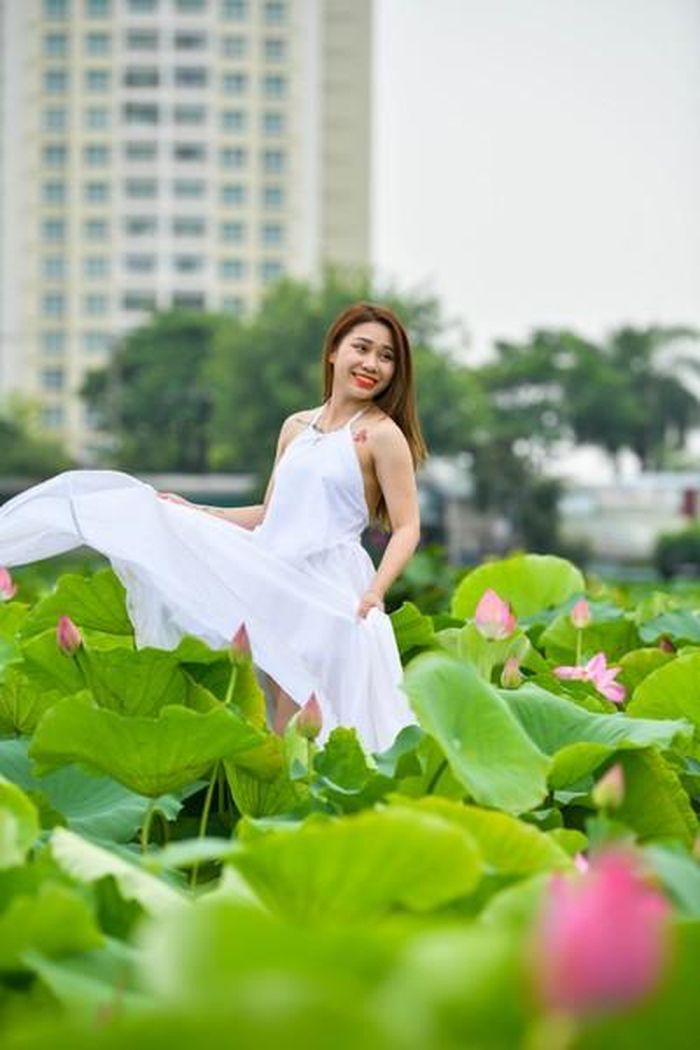 Với loại sen bách diệp tầm buổi trưa mọi người vẫn có thể chụp ảnh được, do sen tươi lâu.