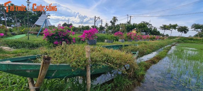 Những con thuyền chở đầy hoa dại ...