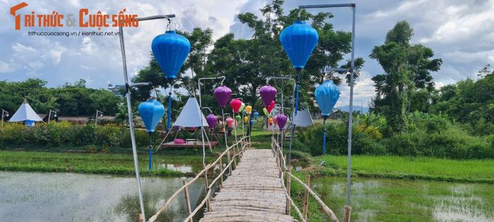 Con đường tre nhỏ dẫn lối du khách băng qua cánh đồng đợi mùa gieo hạt.