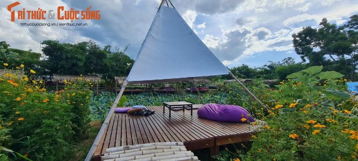 "Khách sạn ngàn sao" bao chill có lẽ chỉ thấy ở Hội An.