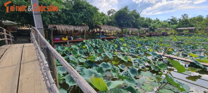 Và đứng ở góc nào du khách cũng sẽ có những tấm ảnh check-in cực chất.