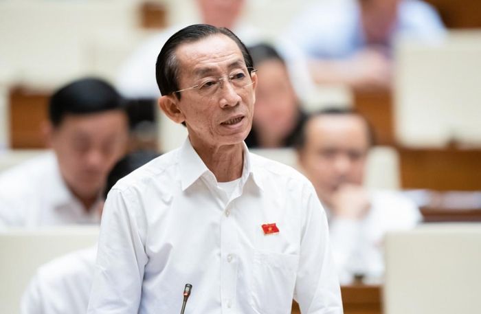 Đại biểu Trần Hoàng Ngân, đoàn TP. HCM
