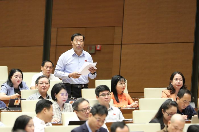 ĐB Thạch Phước Bình (Trà Vinh). Ảnh: QUANG PHÚC