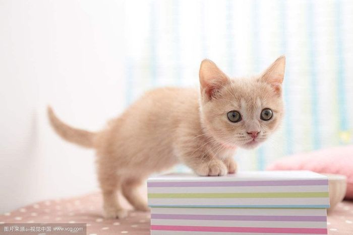 Tuổi Mão: Công việc: dù gặp một số chuyện phiền phức nhưng cuối cùng mọi vấn đề đều được xử lý ổn thỏa. Tài vận: có quý nhân giúp đỡ về tiền bạc. Tình cảm: nên dành nhiều thời gian hơn nữa cho chuyện tình cảm để tránh xảy ra những rạn nứt.