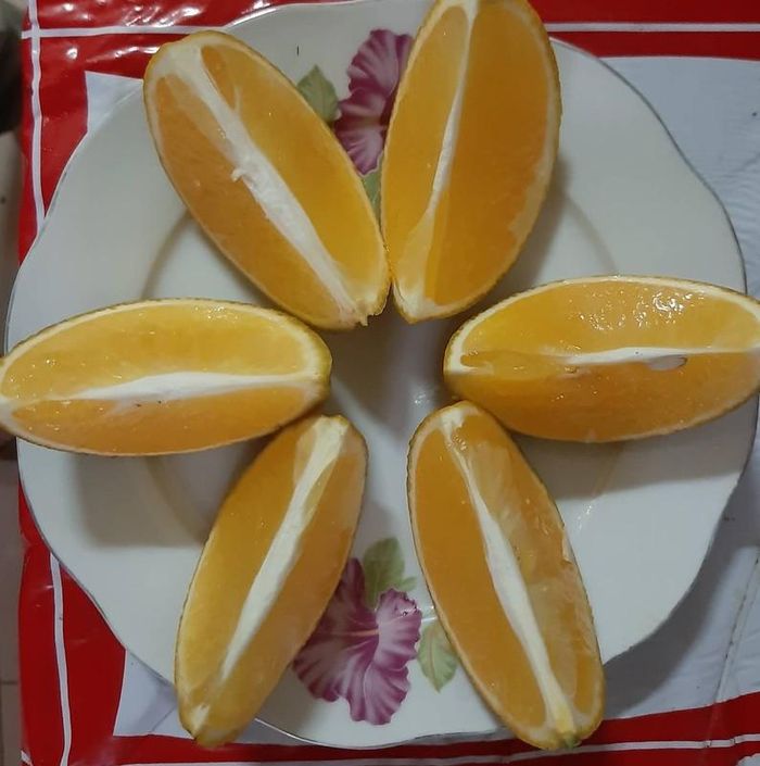 Vỏ cam mịn, mỏng đều và có mùi hương thơm dịu. Ruột cam vàng óng ánh, có vị ngọt, thanh mà không chua, khó thấy ở giống cam khác. Ảnh: Người lao động