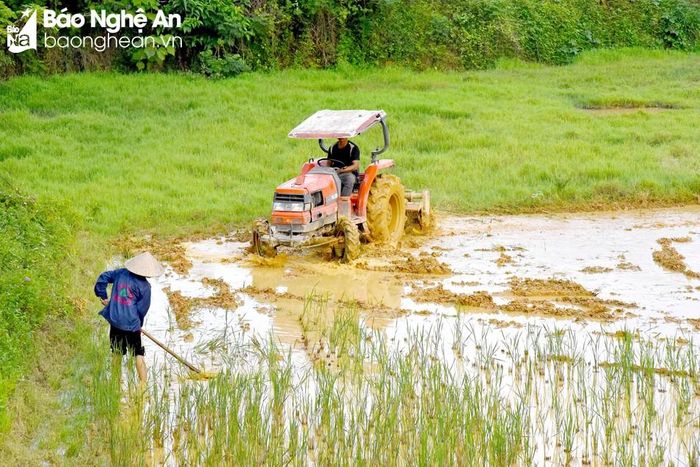  Người dân thôn Bãi Sở, xã Tam Quang thuê máy bơm nước lên ruộng và làm đất cấy lúa vụ mùa 2023. Ảnh: Hoài Thu 