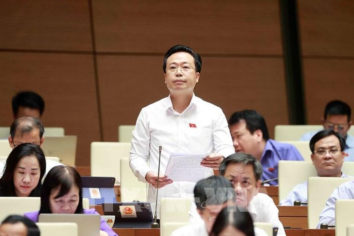 Đại biểu Quốc hội tỉnh Hưng Yên Nguyễn Đại Thắng phát biểu. Ảnh: Doãn Tấn - TTXVN