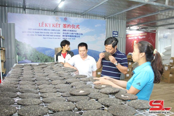 Du khách tham quan khu chế biến chè bánh tại Công ty TNHH Trà và đặc sản Tây Bắc.Ảnh: Minh Tuấn