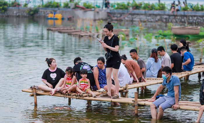 Hàng ngày có cả trăm người tìm tới để xem cá, cho cá ăn và vui chơi