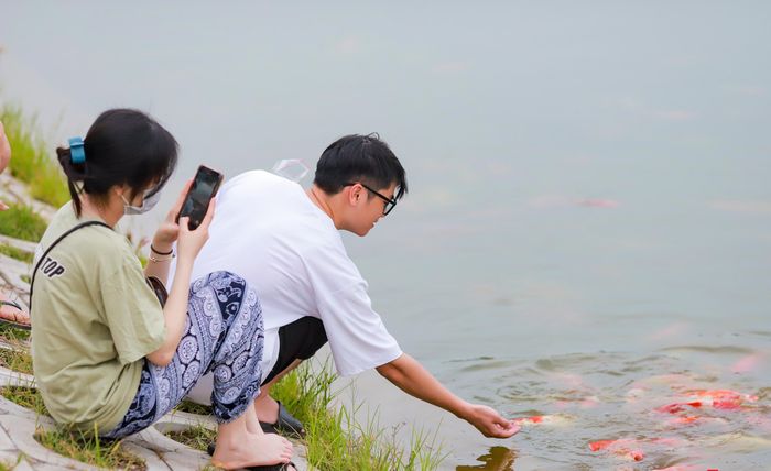 Cá Koi có nguồn gốc từ Nhật Bản, đây là một trong những loài cá có giá bán đắt nhất thế giới. Tùy theo chủng loại, tại thị trường Việt Nam, mức giá trung bình của cá Koi dao động từ 500 nghìn đồng - hàng chục triệu đồng/con. Đáng chú ý, trên thế giới, có những cá thể cá Koi có giá bán lên tới hàng triệu USD
