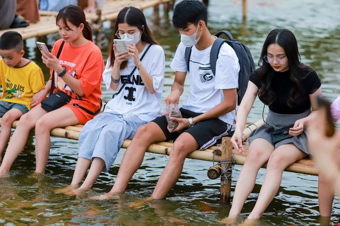 Trước đây, khu vực hồ này vốn trồng sen, tuy nhiên hiện đã được thay đổi mục đích sử dụng và thả cá Koi. Trong thời gian trước mắt, đàn cá Koi hàng nghìn con này sẽ tạo thành nơi thăm thú và vui chơi cho trẻ em dịp hè