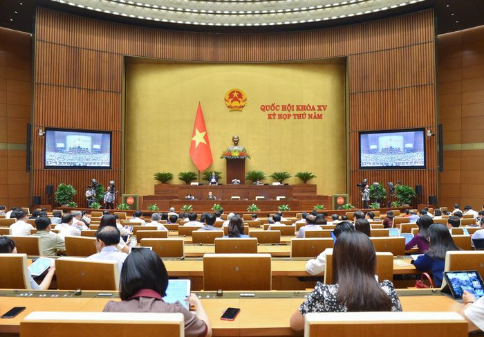  Toàn cảnh phiên họp. 