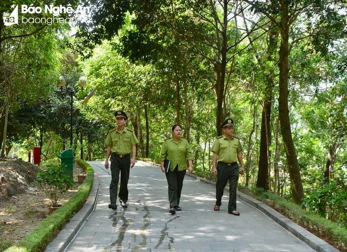  Với tính chất quan trọng của di tích, trong thời tiết nắng nóng cao độ, lực lượng Kiểm lâm thành phố Vinh-Cửa Lò luôn tăng cường canh gác lửa rừng tại đây. Ảnh: Văn Trường 