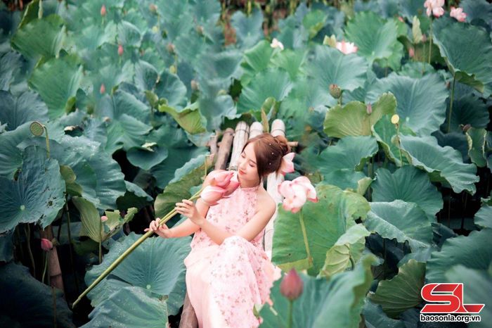 Du khách lưu lại những bức hình đẹp nhất với hoa sen.