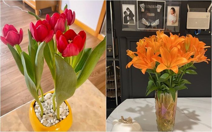 Ít ai biết, Pha Lê từng ghét hoa. Cô đã tâm sự rằng: "Thề, xưa nay ghét hoa, không hề có nhu cầu hoa với hoét mí lại cứ trồng hay cắm là chẳng bao giờ nở, toàn chết, chết lên chết xuống!"